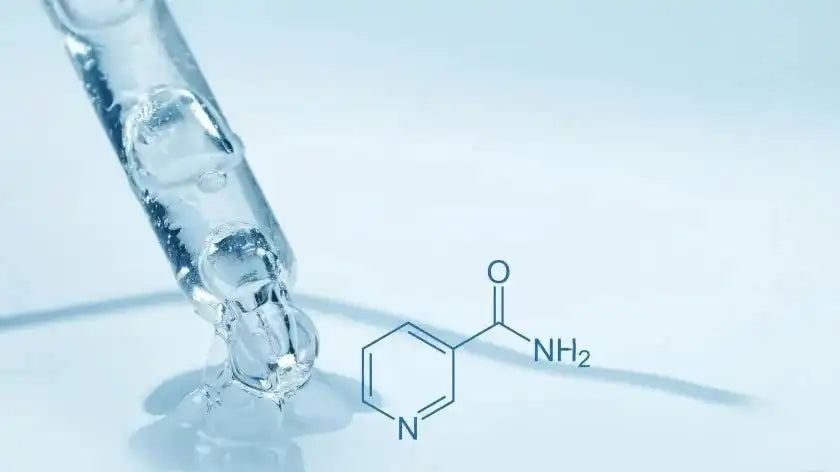 النياسيناميد Niacinamide