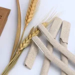 FormatConvert_20260106_122442_2193