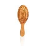 Resize_20260106_120558_8481